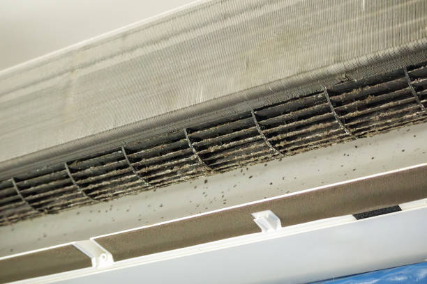 Best Air Duct Cleaning Near Me  in Del Rio, TX